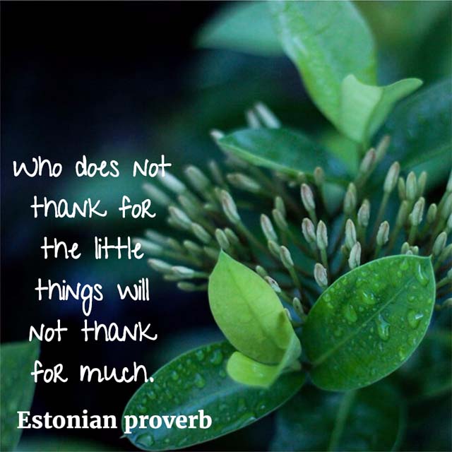 Who does not thank for the little things will not thank for much. — Estonian proverb #thanks