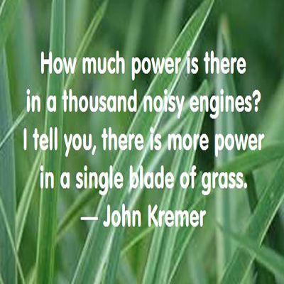 the power of grass