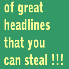 13 Headlines You Can Steal!