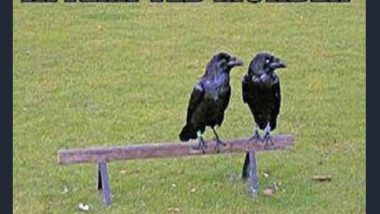 Attempted Murder Wordplay: A Murder of Crows