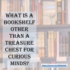 Bookshelves are a treasure chest for curious minds.
