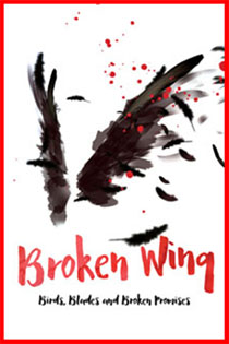 Broken Wing by John Graves