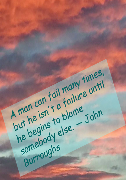 John Burroughs on Failures