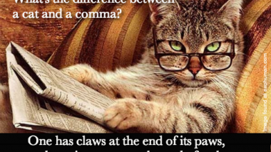 The Difference Between Cats and Commas