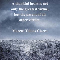 Cicero on a Thankful Heart