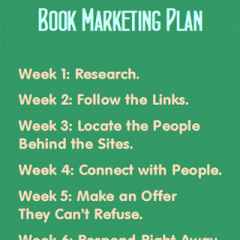 The Hour-a-Day Book Marketing Plan