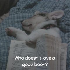 Love a Good Book meme
