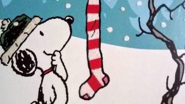 Merry Christmas and Happy Holidays from Snoopy and Woodstock