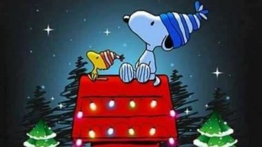 Snoopy and Woodstock Christmas