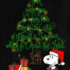 Snoopy and Woodstock on Christmas Eve