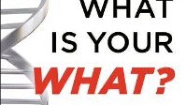 What Is Your What by Steve Olsher