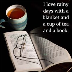 Tea and Books and a Great Blanket